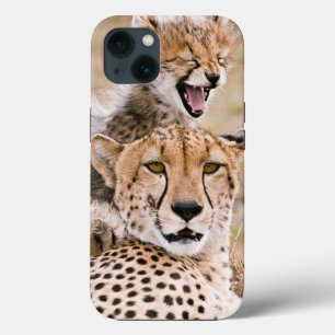 Cutest Baby djur Cheetah Cat & Unge