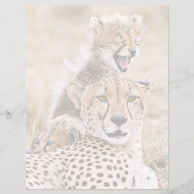 Cutest Baby djur | Cheetah Cat & Unge (Framsida)