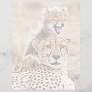 Cutest Baby djur Cheetah Cat & Unge