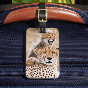 Cutest Baby djur Cheetah Cat & Unge Bagagebricka