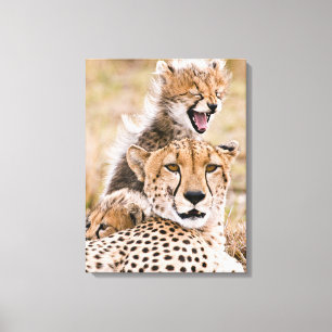 Cutest Baby djur   Cheetah Cat & Unge Canvastryck