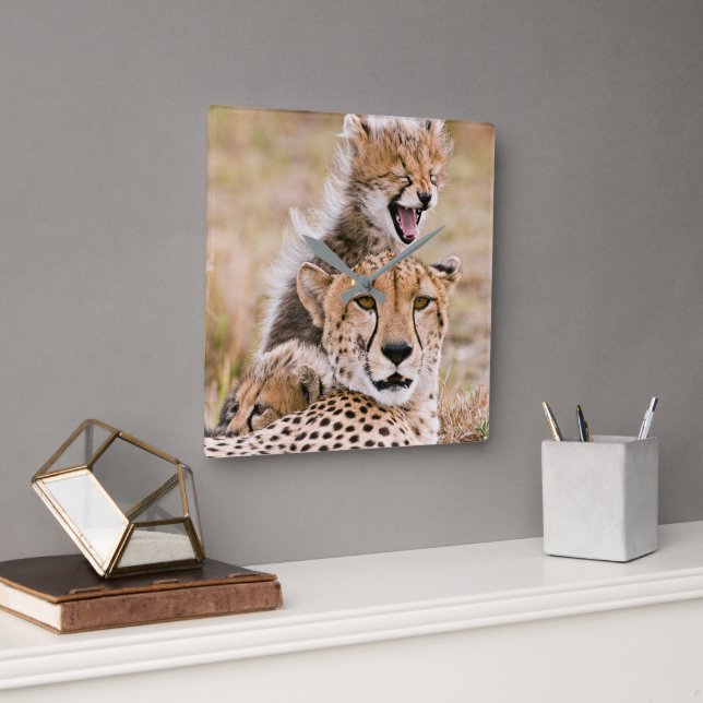 Cutest Baby djur | Cheetah Cat & Unge Fyrkantig Klocka (Kontor)