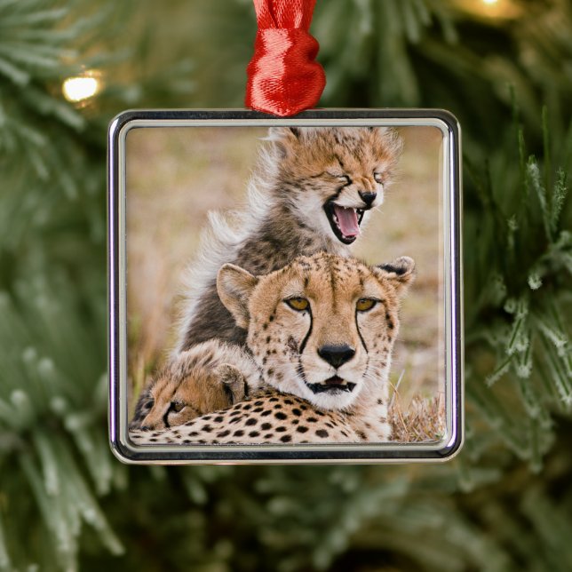 Cutest Baby djur | Cheetah Cat & Unge Julgransprydnad Metall (Träd)