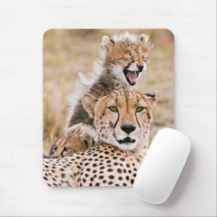 Cutest Baby djur Cheetah Cat & Unge Musmatta