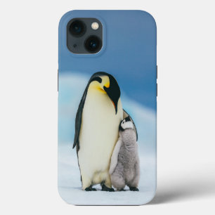 Cutest Baby djur Chick av kejsar Penguin