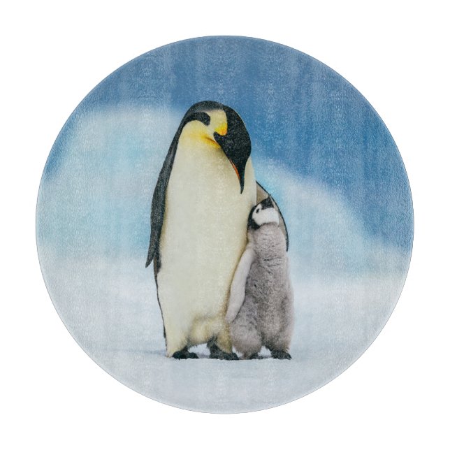 Cutest Baby djur | Chick av kejsar Penguin (Framsidan)