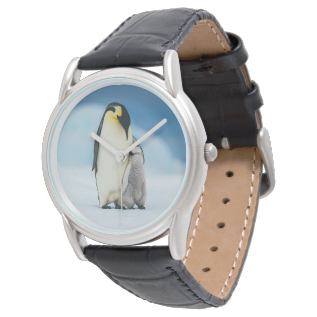Cutest Baby djur | Chick av kejsar Penguin Armbandsur (Vinklad)