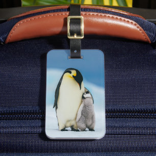 Cutest Baby djur Chick av kejsar Penguin Bagagebricka