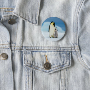 Cutest Baby djur Chick av kejsar Penguin Knapp