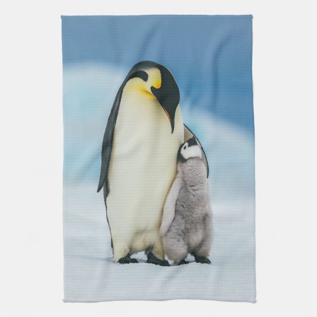 Cutest Baby djur | Chick av kejsar Penguin Kökshandduk (Vertikal)