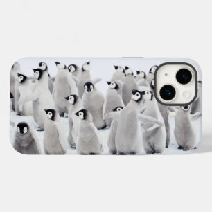 Cutest Baby djur Chickar av kejsar Penguin