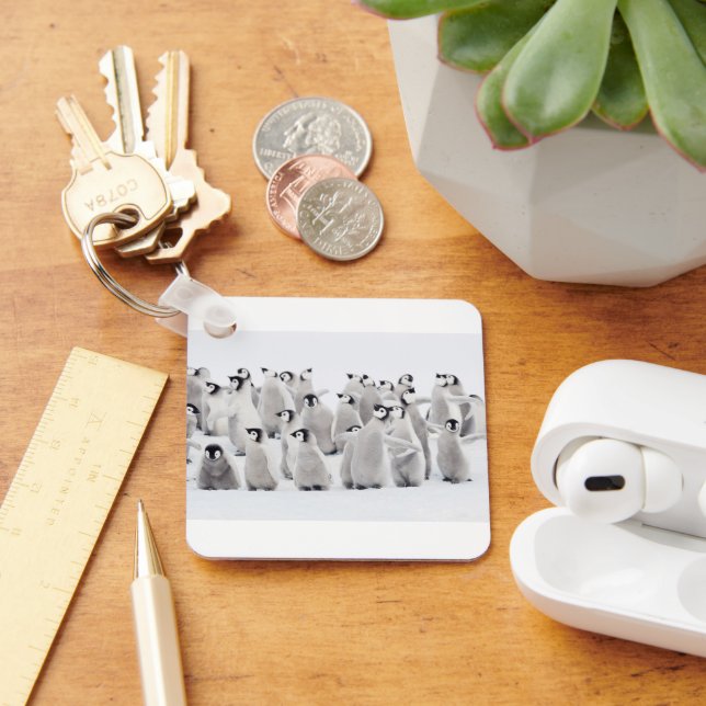 Cutest Baby djur | Chickar av kejsar Penguin Nyckelring (Skrivbord)