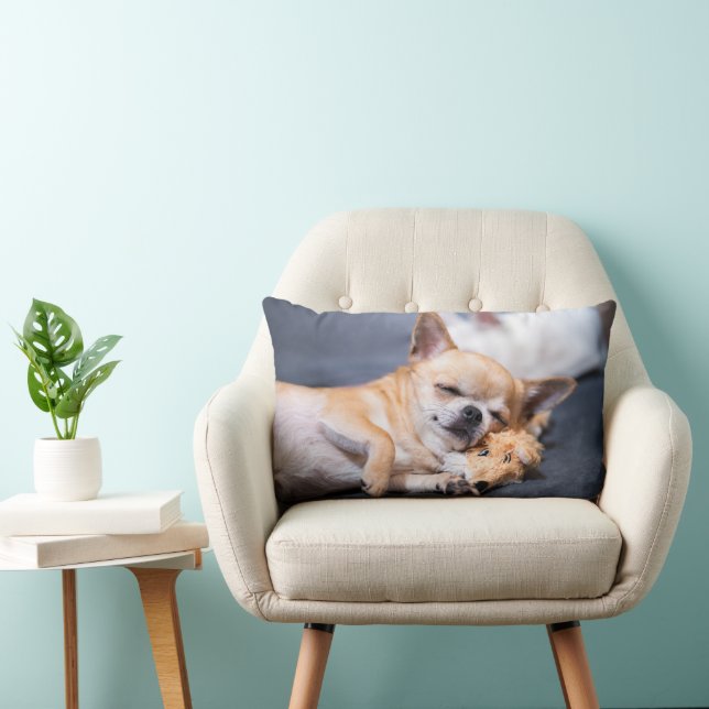 Cutest Baby djur | Chihuahua-Hund med rödhårig kyl Lumbarkudde (Stol)