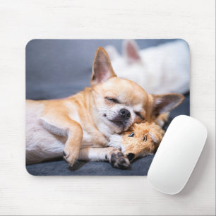 Cutest Baby djur   Chihuahua-Hund med rödhårig kyl Musmatta