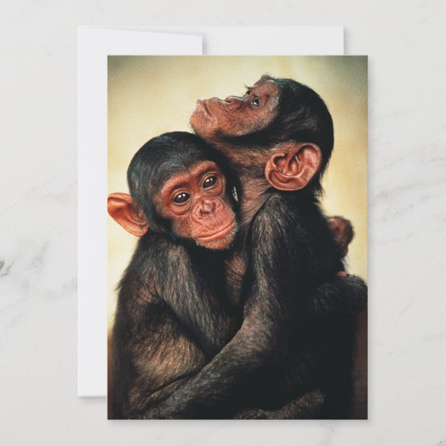 Cutest Baby djur | Chimpanzee Hug Tack Kort (Framsida)
