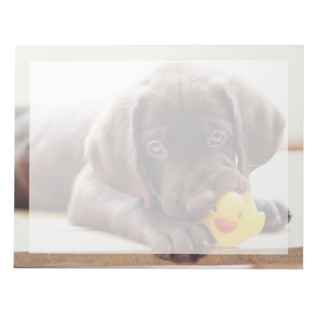 Cutest Baby djur | Chocolate Labrador Puppy Anteckningsblock (Framsida)