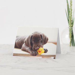 Cutest Baby djur Chocolate Labrador Puppy Kort