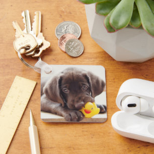 Cutest Baby djur Chocolate Labrador Puppy Nyckelring