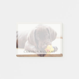 Cutest Baby djur Chocolate Labrador Puppy Post-it Block