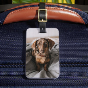Cutest Baby djur Chokladäpple Dachshund Bagagebricka