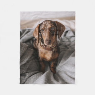 Cutest Baby djur   Chokladäpple Dachshund Fleecefilt