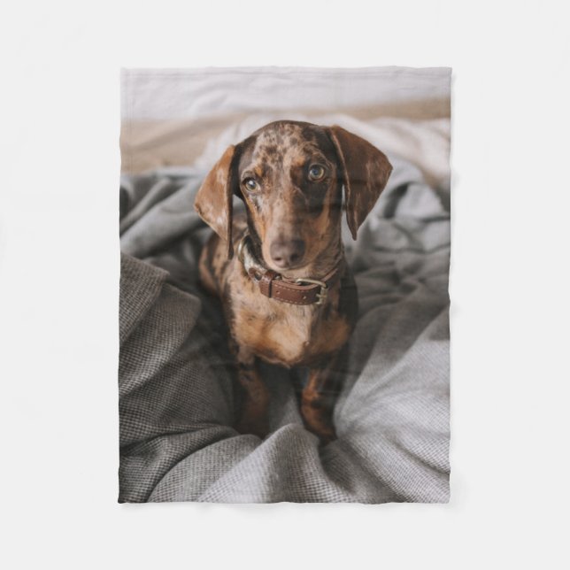 Cutest Baby djur | Chokladäpple Dachshund Fleecefilt (Framsidan)