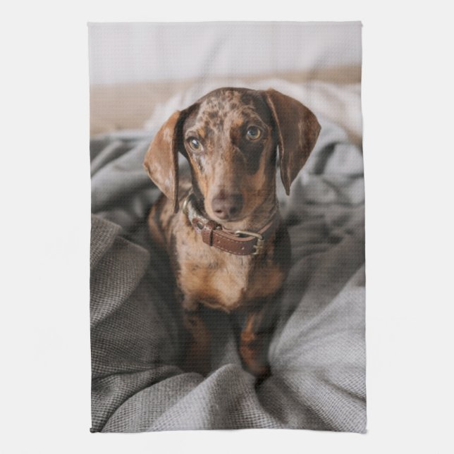 Cutest Baby djur | Chokladäpple Dachshund Kökshandduk (Vertikal)