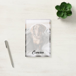 Cutest Baby djur Chokladäpple Dachshund Post-it Block