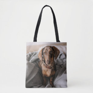 Cutest Baby djur   Chokladäpple Dachshund Tygkasse