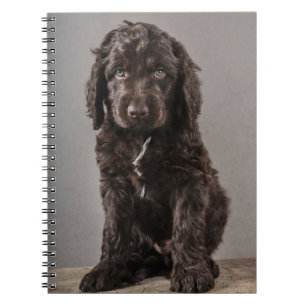 Cutest Baby djur   Cockapoo Puppy Anteckningsbok