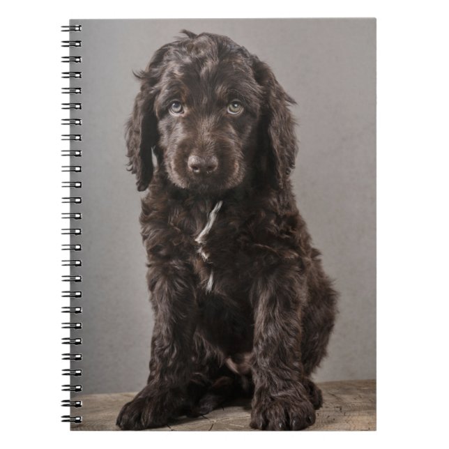Cutest Baby djur | Cockapoo Puppy Anteckningsbok (Framsidan)