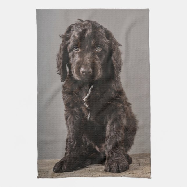 Cutest Baby djur | Cockapoo Puppy Kökshandduk (Vertikal)