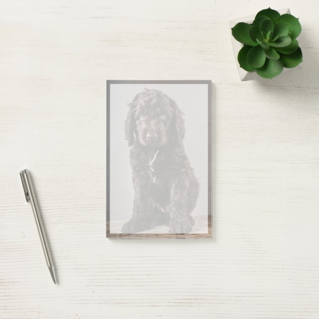 Cutest Baby djur | Cockapoo Puppy Post-it Block (Kontor)