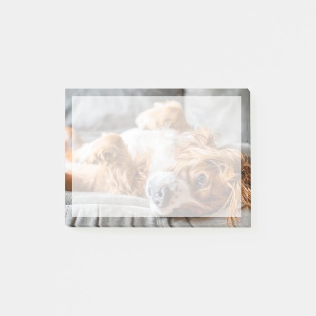 Cutest Baby djur | Cocker Spain Post-it Block (Framsida)