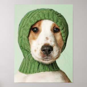 Cutest Baby djur Cocker Spain Puppy Poster