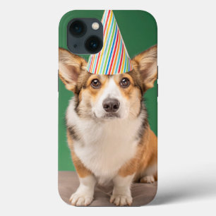 Cutest Baby djur   Corgi Birthday Puppy