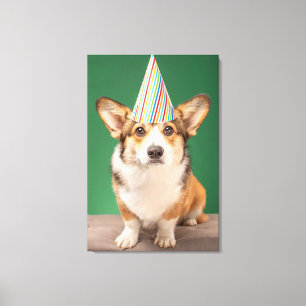 Cutest Baby djur   Corgi Birthday Puppy Canvastryck