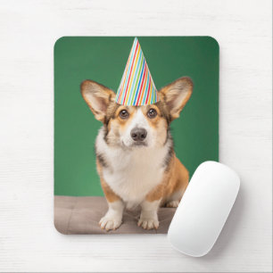 Cutest Baby djur Corgi Birthday Puppy Musmatta