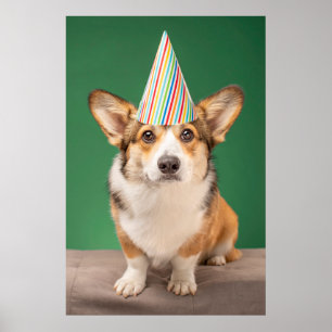 Cutest Baby djur Corgi Birthday Puppy Poster