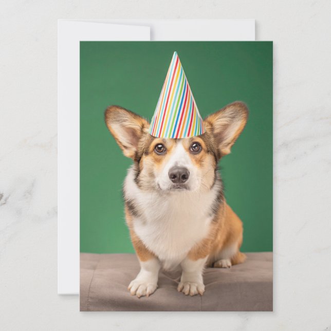 Cutest Baby djur | Corgi Birthday Puppy Tack Kort (Framsida)