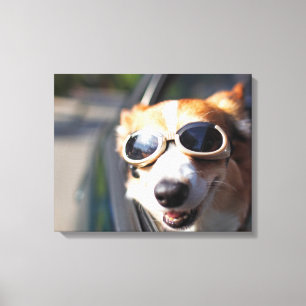 Cutest Baby djur   Corgi Goggles i bilen Canvastryck