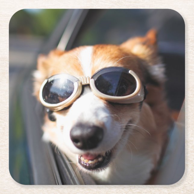 Cutest Baby djur | Corgi Goggles i bilen Underlägg Papper Kvadrat (Framsidan)