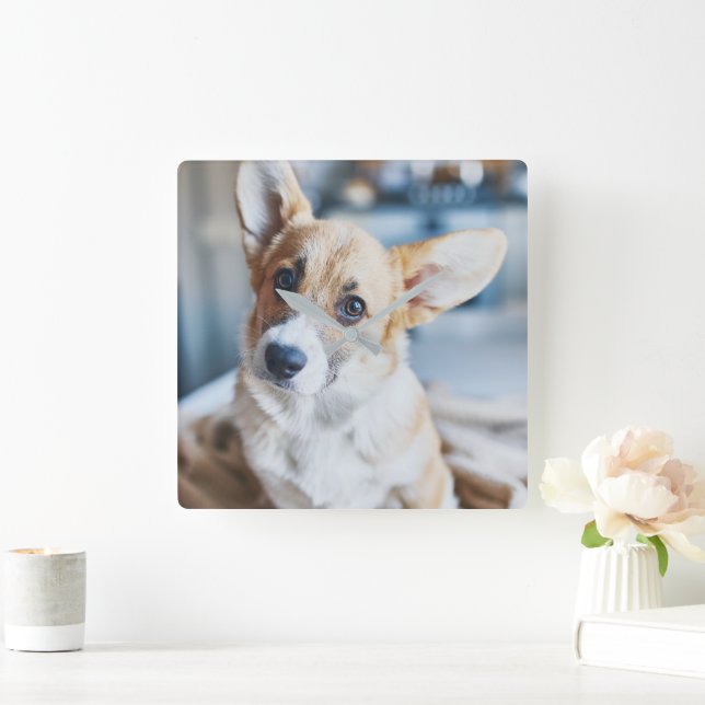 Cutest Baby djur | Corgi Head Tilt Fyrkantig Klocka (Hem)