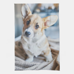 Cutest Baby djur Corgi Head Tilt Kökshandduk