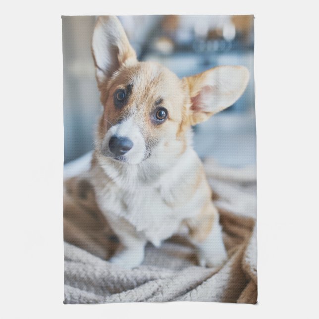 Cutest Baby djur | Corgi Head Tilt Kökshandduk (Vertikal)