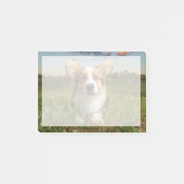 Cutest Baby djur | Corgi in Cloudy Yard Post-it Block (Framsida)