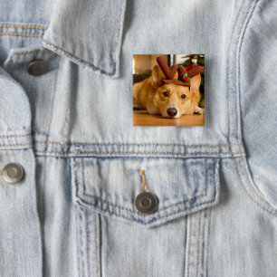 Cutest Baby djur Corgi julrenar Knapp