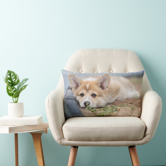 Cutest Baby djur | Corgi Lutning på Yard Lumbarkudde (Stol)