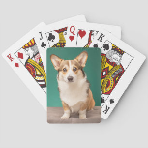 Cutest Baby djur   Corgi på Teal Casinokort