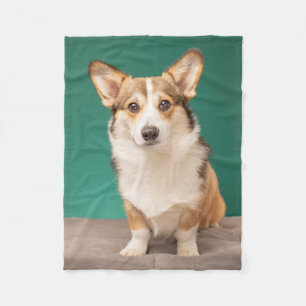 Cutest Baby djur Corgi på Teal Fleecefilt